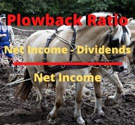 Plowback Ratio