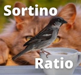 Sortino Ratio