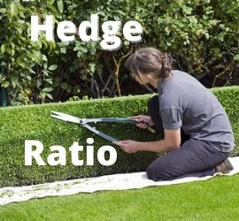 Hedge Ratio