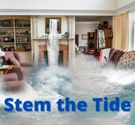 Stem the Tide