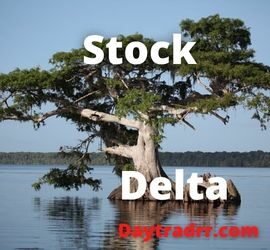 Stock Delta