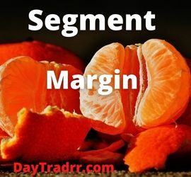 Segment Margin