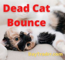 Dead Cat Bounce