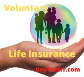 Voluntary Life Insurance