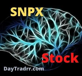 SNPX Stock