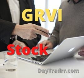 GRVI Stock