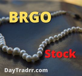 BRGO Stock
